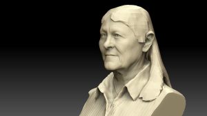 Render van brons standbeeld met en zonder haar van Joke Alberts, Fase 2: de eerste haarlijn in een 3D sculptuur